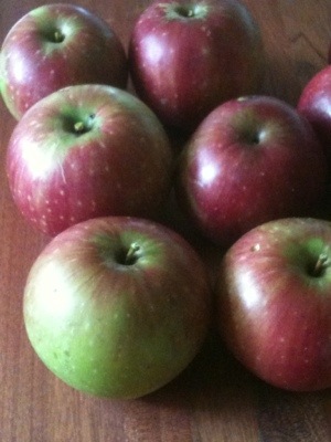 Macintosh apples 20120909-155202.jpg