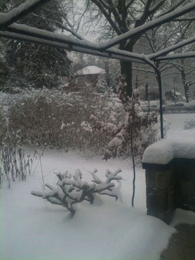 Snow on porch