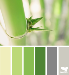 Bamboo Tones -- Design Seeds