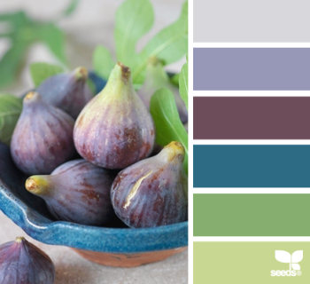 This is called Fig Hues from Design-Seeds. I love these colors, but Mr. H.C. doesn't like blue...
