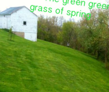 the green green grass of spring