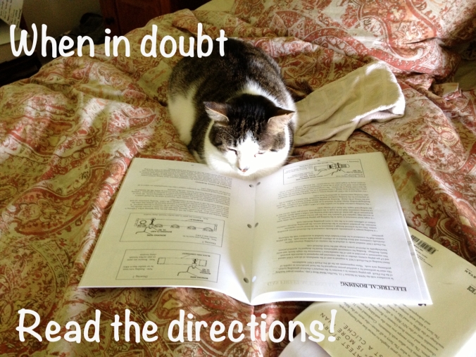 cat reading directions