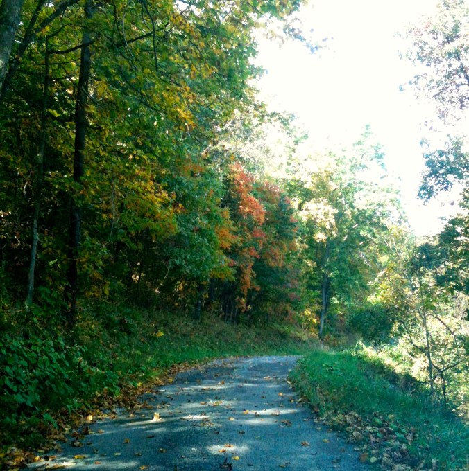 Country road in autumn