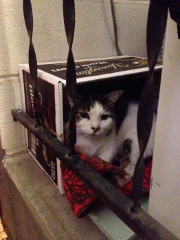 Henry in a prison of his own choosing...