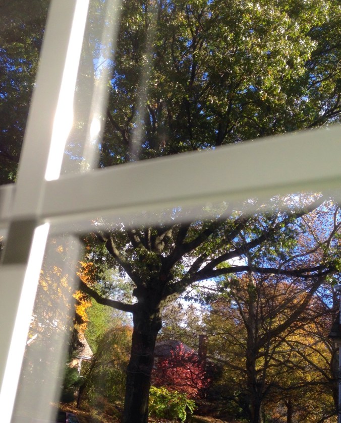 fall through the window