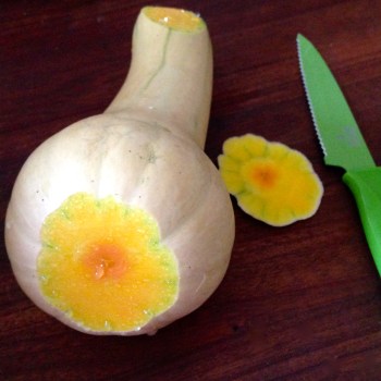 Squashed, but not defeated