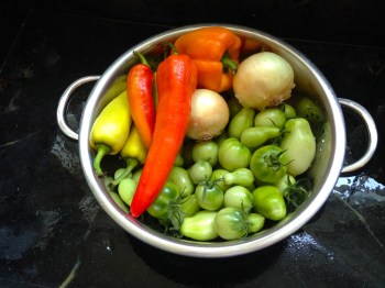 green tomato salsa