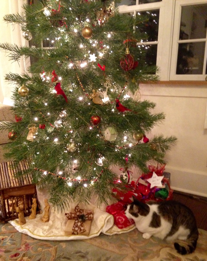 the cat's tree